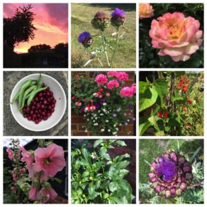 sportsmanscorner garden and allotment